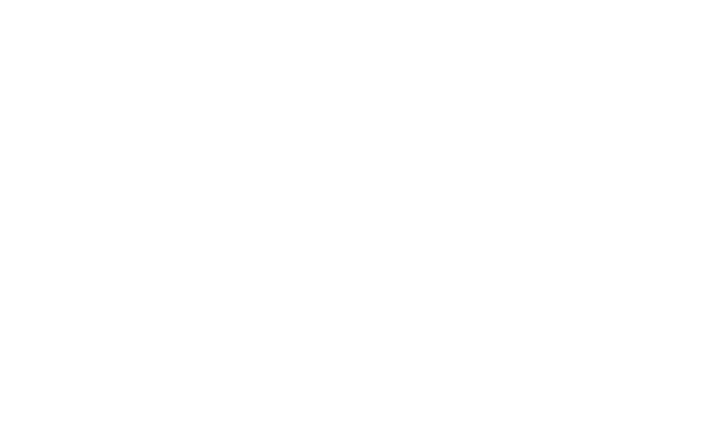 Logo LFiZ blanc